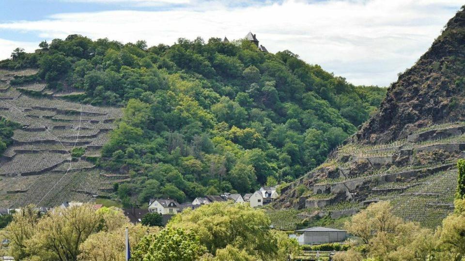 Ferienwohnung Dieblich An Der Mosel Εξωτερικό φωτογραφία